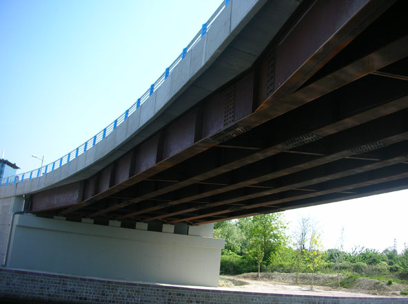 Ponti Viadotti Passerelle