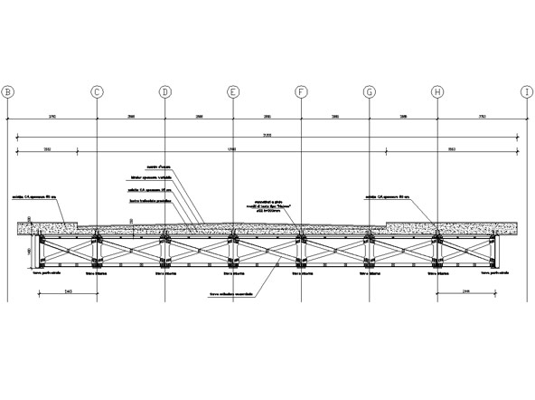 Ponti Viadotti Passerelle